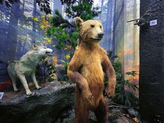 -国家自然博物馆