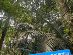 -七仙岭温泉国家森林公园