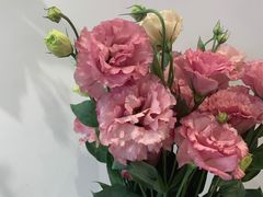-开间茶馆·围炉煮茶