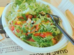 -油梨树AVOCADO TREE(望京店)