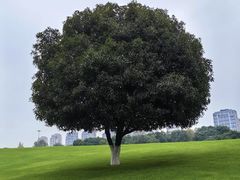 -重庆中央公园(渝北区)