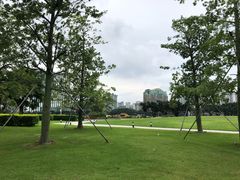 -二沙岛艺术公园