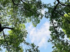 -上海市龙华烈士陵园