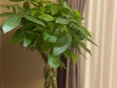 -洛阳宴·洛阳菜(南昌路店)