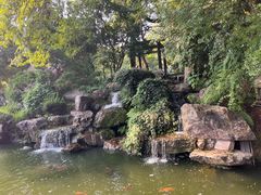 -江心屿景区