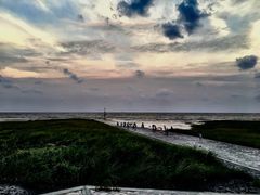 -南汇嘴观海公园