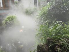 -大妙火锅·非物质文化遗产(东湖公园店)