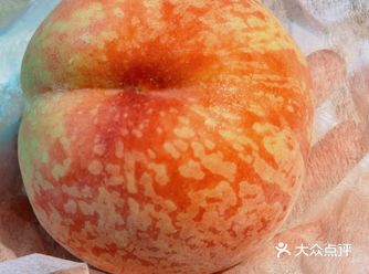 三餐四季｜喷泉爆汁甜入心️消暑就吃这一口