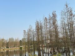 -白鹭湾湿地公园