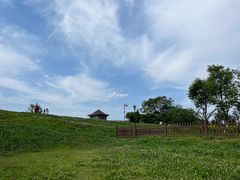 -杏花村文化旅游区