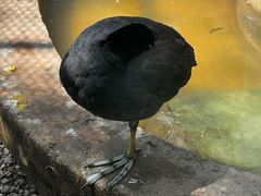 -青藏高原野生动物园
