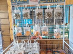 -蓝湾碧波·老字号·疍家非遗海上餐厅