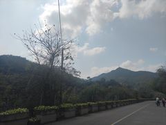 -南海湾森林生态园