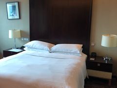 -上海龙之梦万丽酒店