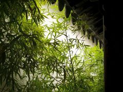 -苏州园林博物馆