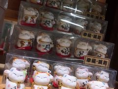 -猫咪博物馆(顶澳仔猫街店)