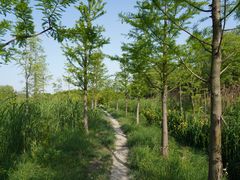 -昆山城市生态森林公园