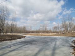-东郊湿地公园