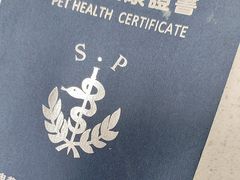 -申普宠物医院·心脏介入·心血管微创(总院)