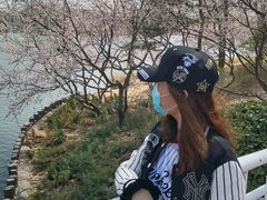 -大兴滨河森林公园