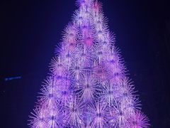 -爱雍·乌节