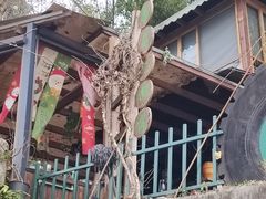 -马灯部落·西湖边的创意山景餐厅(虎跑动物园店)
