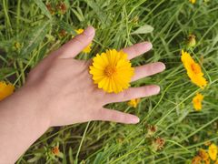 -东钱湖旅游度假区