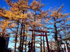 -富士山吉田線五合目