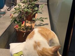 -御宝贝24h宠物医院·转诊中心·CT核磁血透中心(厦门总院)