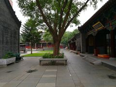 -护国法轮寺