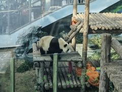 -大连森林动物园