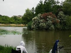 -新江湾城公园