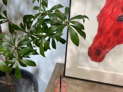 -自由生长植物工作室(深港花卉中心店)