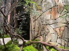 -森SPA·泰式按摩·精油Massage(宝安中心店)