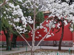 -北京市劳动人民文化宫(太庙)