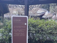 -十八棵（老龙井）御茶园(老龙井店)
