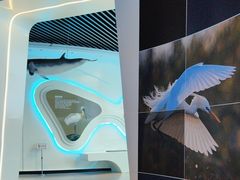 -大连市规划展示中心