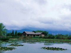 -长兴太湖图影湿地文化园