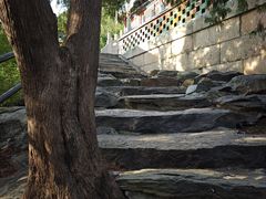 -香山公园