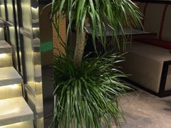 -铂尔登国际酒店(南山深圳湾口岸店)