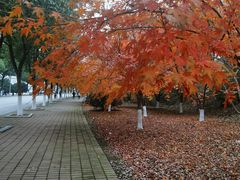 -南京市江宁方山