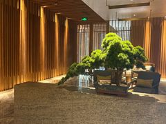 -浅深(北京北四环精品店)