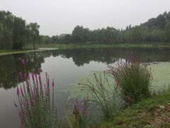 -东郊湿地公园