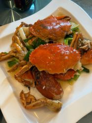 -上海明天广场JW万豪酒店·宴会厅