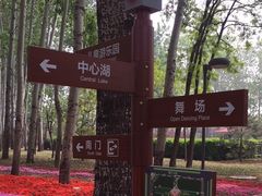 -仁和公园(顺义区)