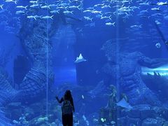 -哈尔滨波塞冬海底世界