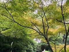 -岳麓山风景名胜区