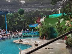 -广州长隆飞鸟乐园
