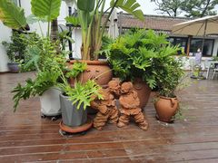 -素心小筑(后沙裕镇店)