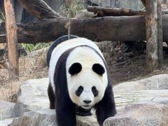 -宁波野生动物园